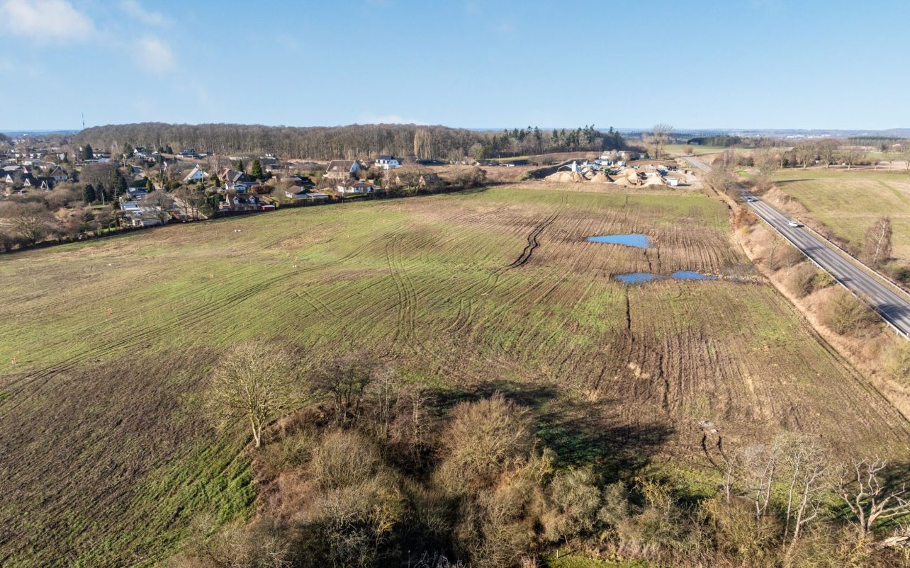 02-DJI_20250206134034_0842_D.jpg